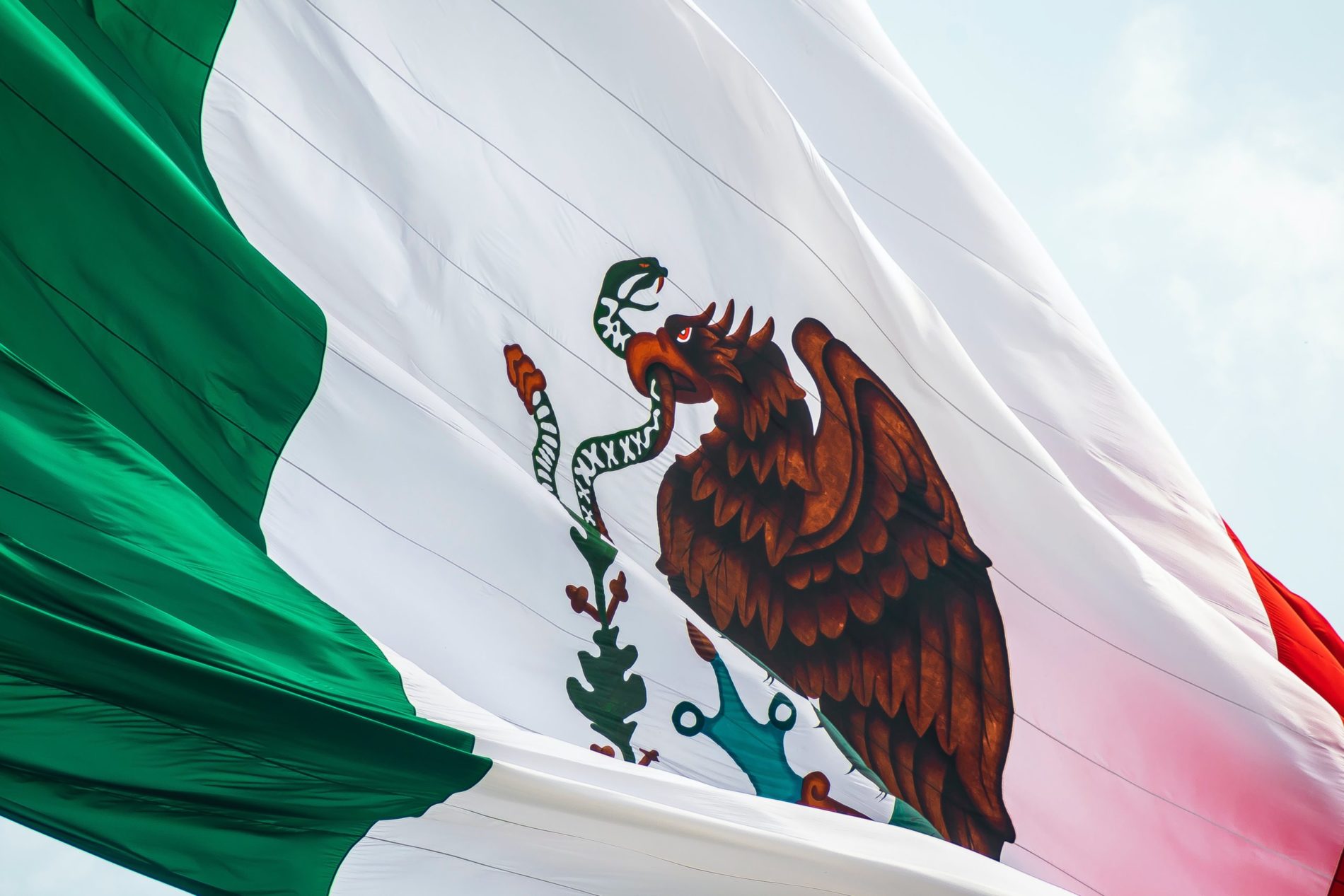 Contribution of Secretaría de Turismo de México – SECTUR