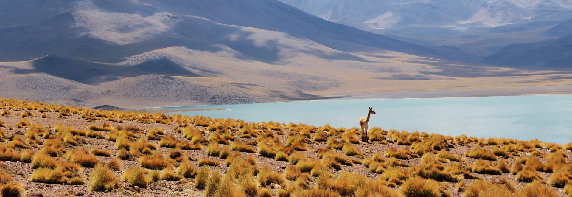 Des programmes télé pour soutenir les entrepreneurs du tourisme rural au Chili