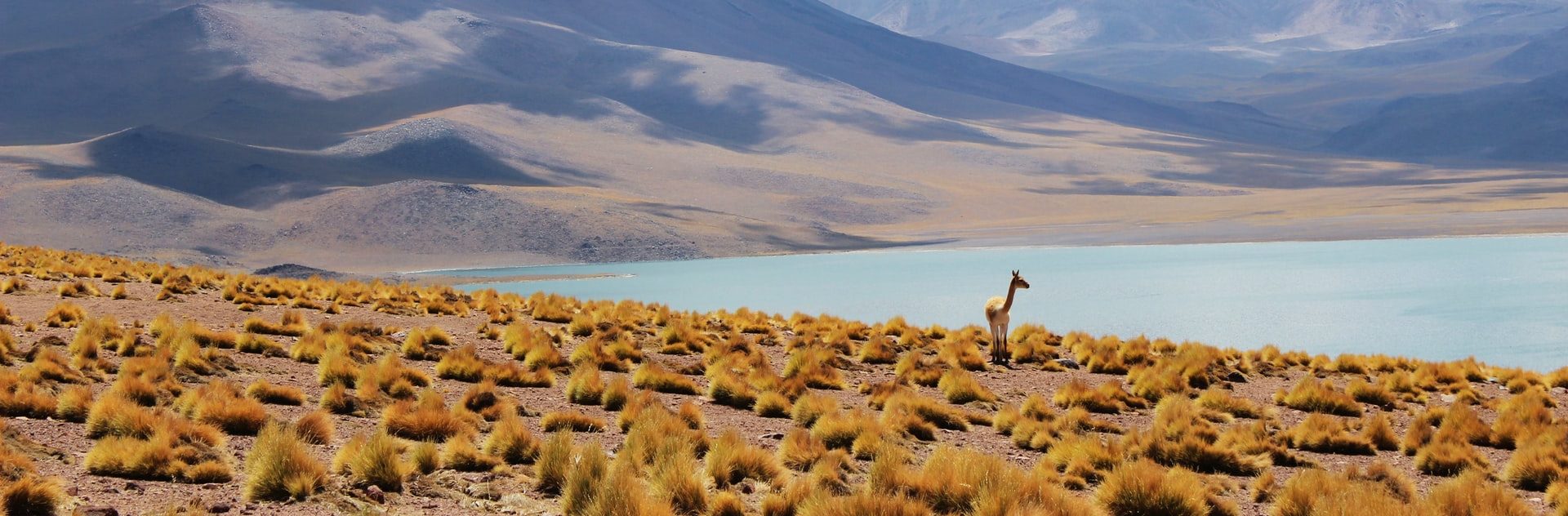 Programas para apoyar a los emprendedores turísticos rurales de Chile